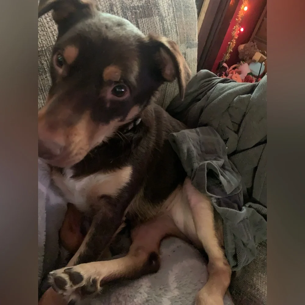 Still here! - Picture 10 of 12